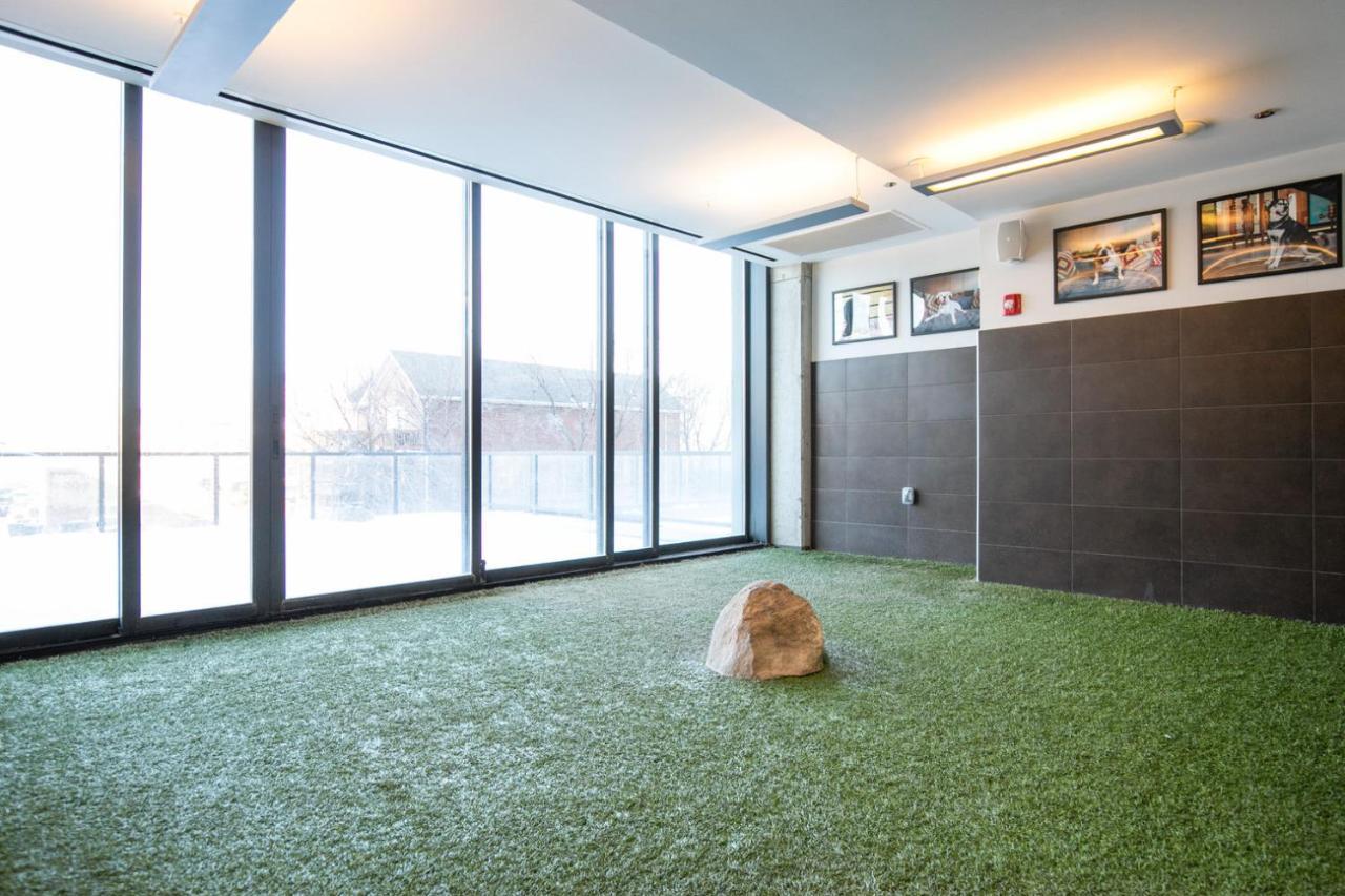 Near North 1br W Gym Lounge Nr Shopping Chi-579