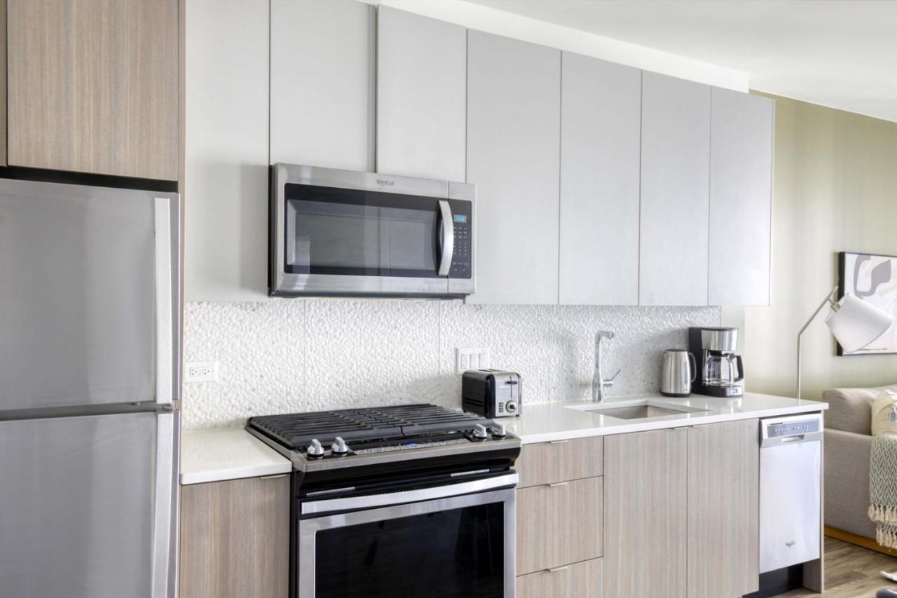 South Loop 1br W Gym Pool Nr Grant Park Chi-763 Chicago