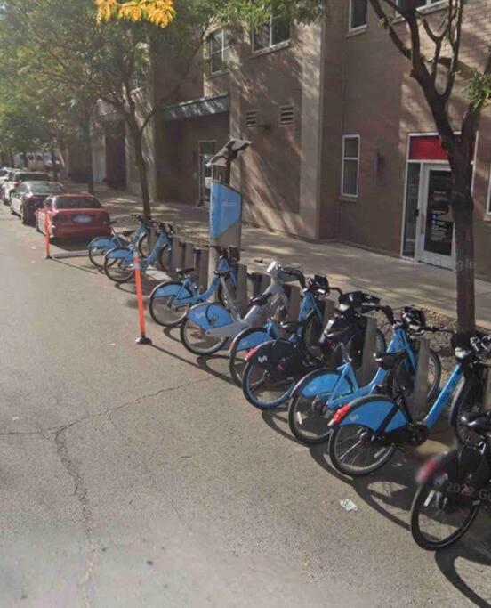 Apartment Vibrant W/ Comforting Vibes Chicago