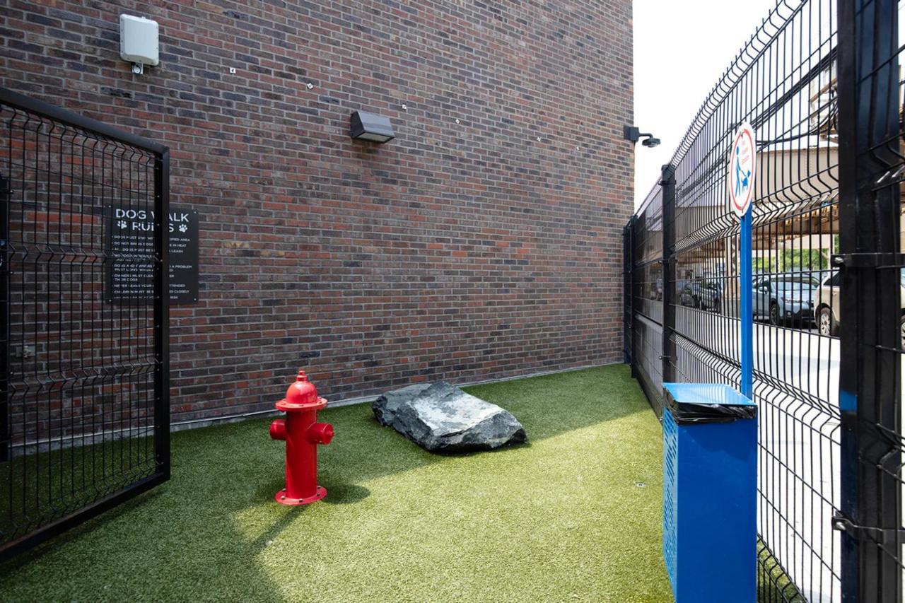 West Loop Jr 1br W Rooftop Dog Run Nr I-90 Chi-967 Apartment