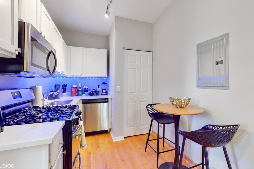 Chic L Near Downtown & Il Medical District Holiday home