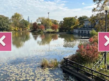 Apartment Modern Belden