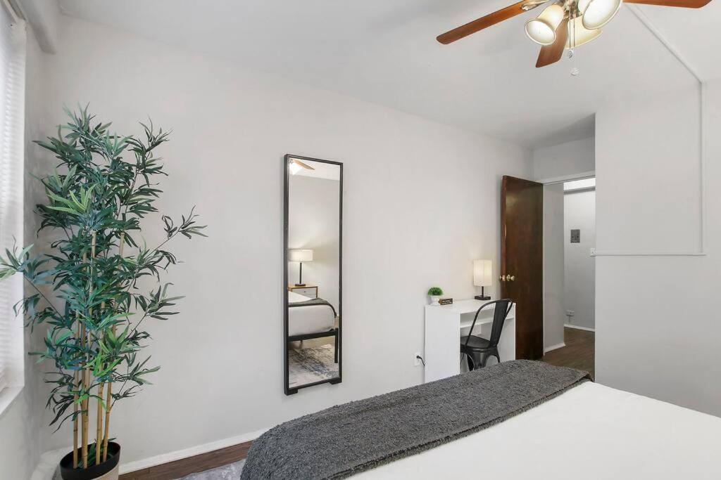 Apartment 1br Bright And Airy In Hyde Park - Hyde Park 109 And 209 Rep