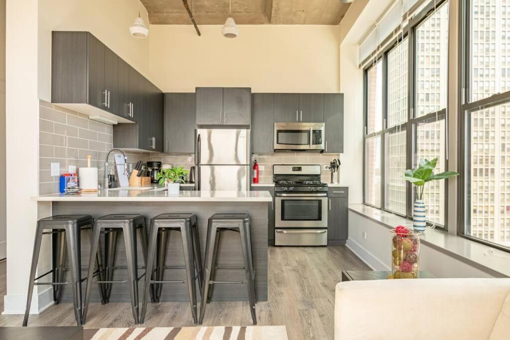 Apartment Skyline 2br In South Loop With Optional Parking & Gym Access Near Mccormick Place, Soldier Field And Lakefront *