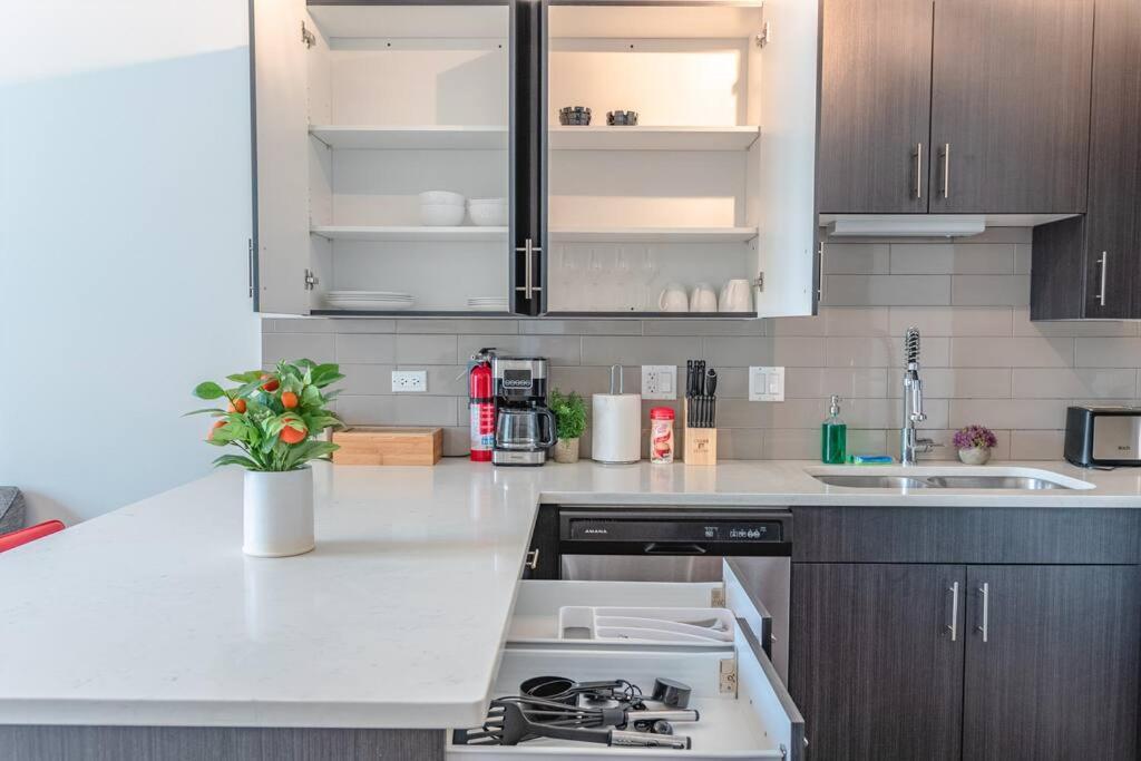 Spacious 3Br Chicago Apartment With Optional Parking Near Mccormick Place, Soldier Field & Uic Campus
