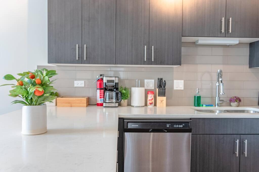 Apartment Spacious 3Br Chicago Apartment With Optional Parking Near Mccormick Place, Soldier Field & Uic Campus Chicago