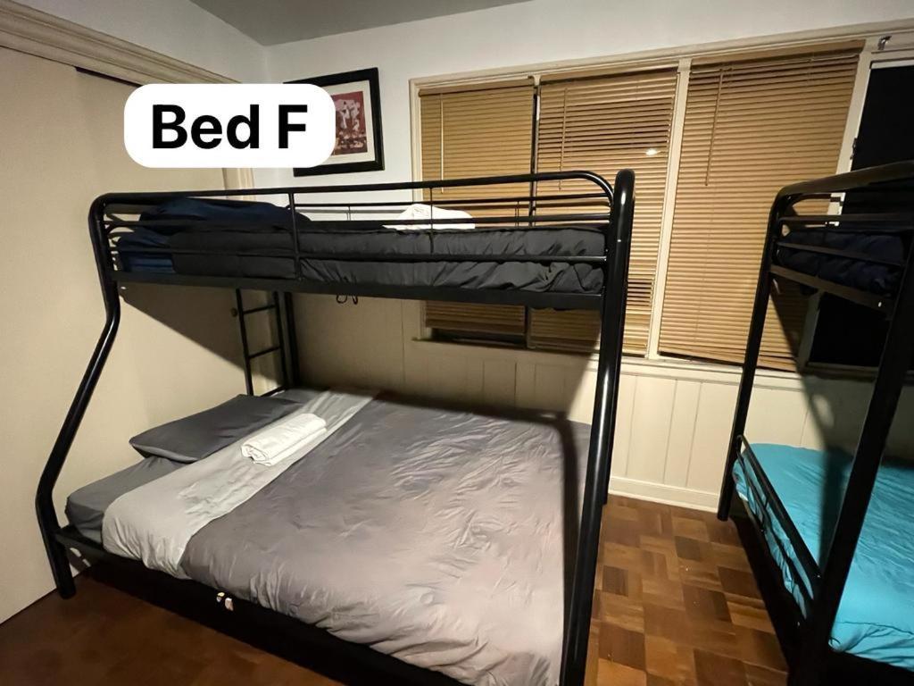 Pill Hill Mansion Chicago