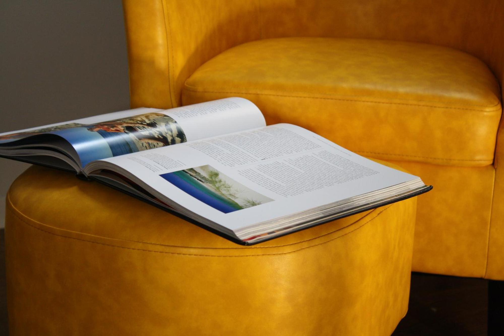 Luxery - Themed Units! Close To Downtown, Mccormick Place & Wintrust Arena * Chicago