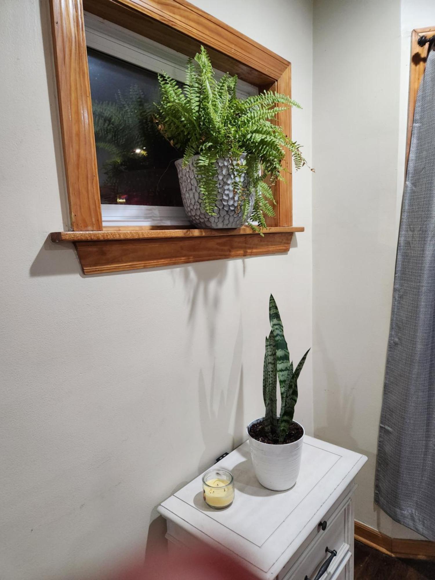 Apartment Relaxing Entire Roseland Neighborhood Unit Chicago