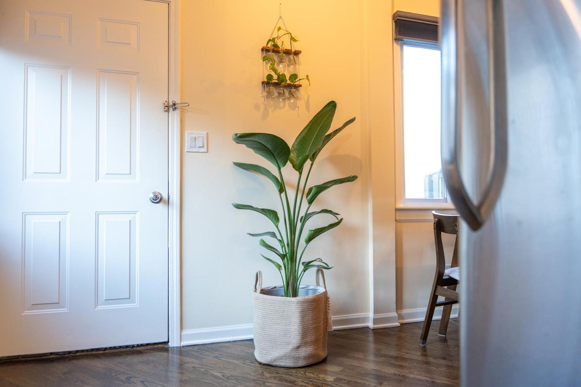 Apartment Bucktown Private