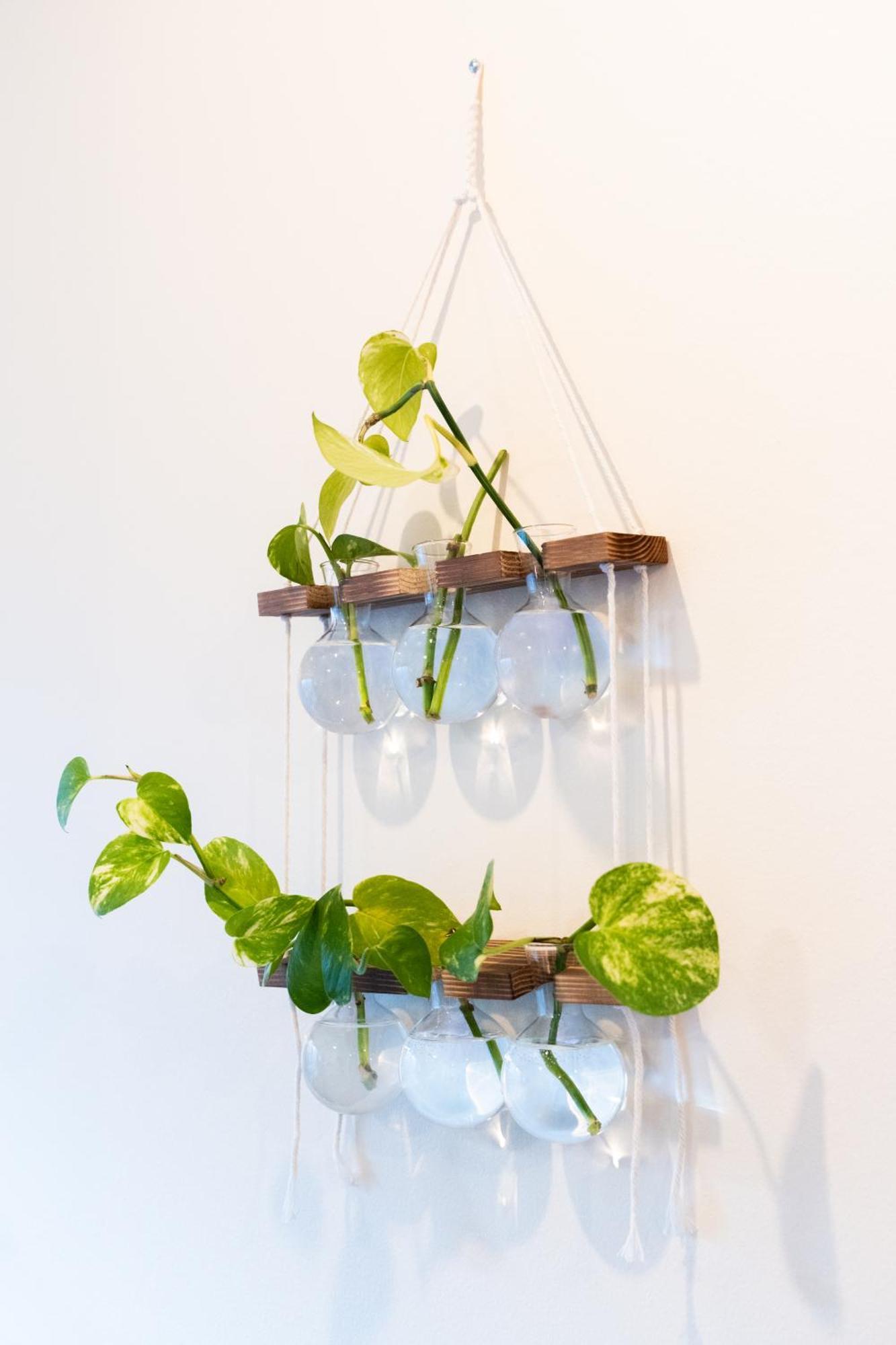 Apartment Bucktown Private