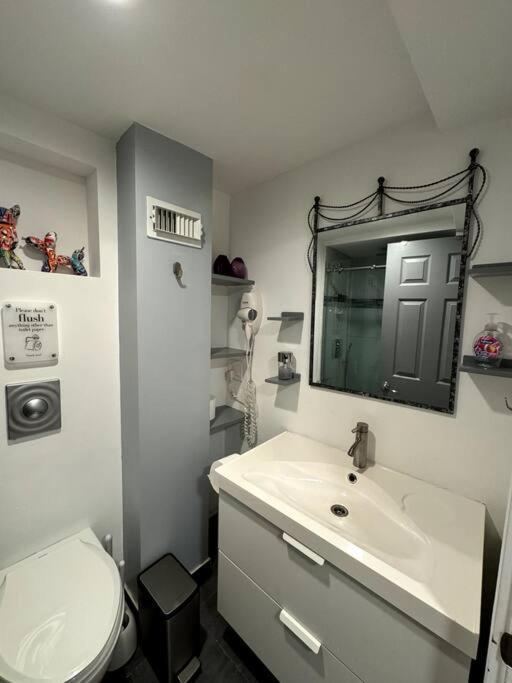 Appartement Unique Charm Lincoln Park *