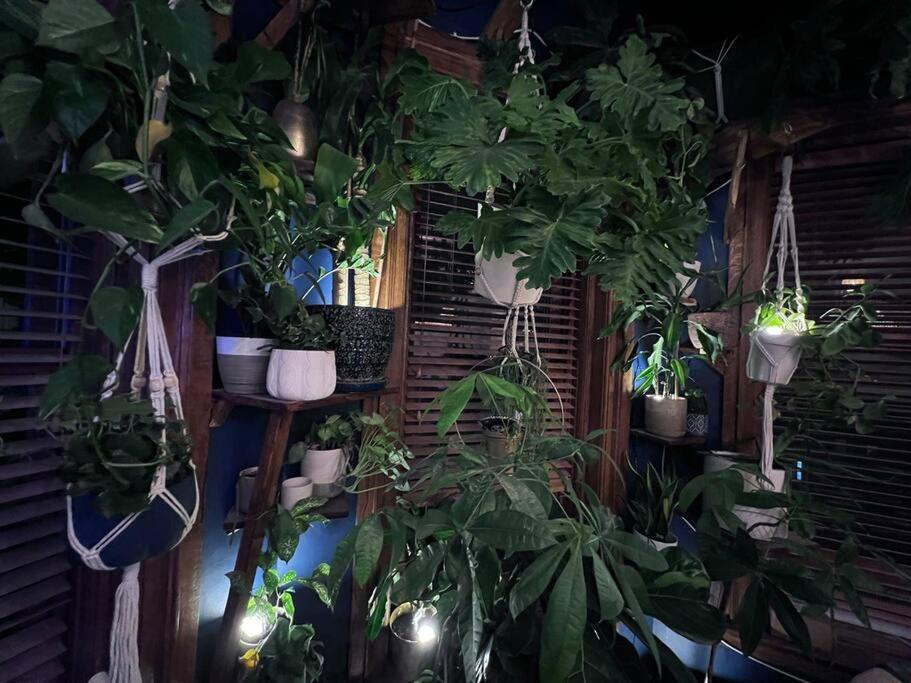 Cozy Castle - Centrally Located Connected *