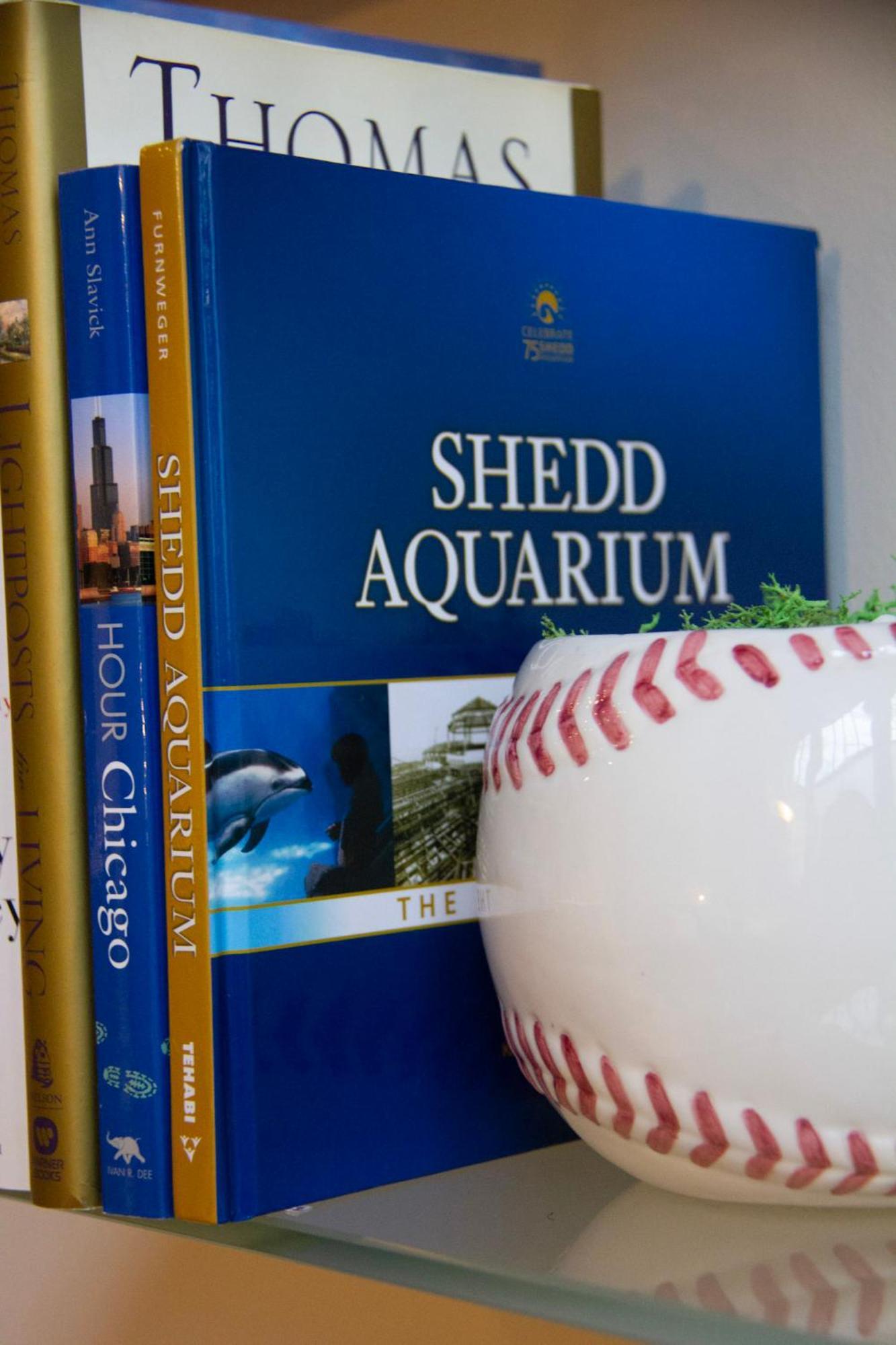 Luxery - Themed Units! Close To Downtown, Mccormick Place & Wintrust Arena