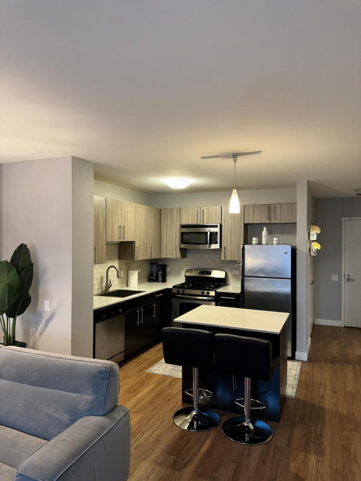 The View In America Apartment Chicago