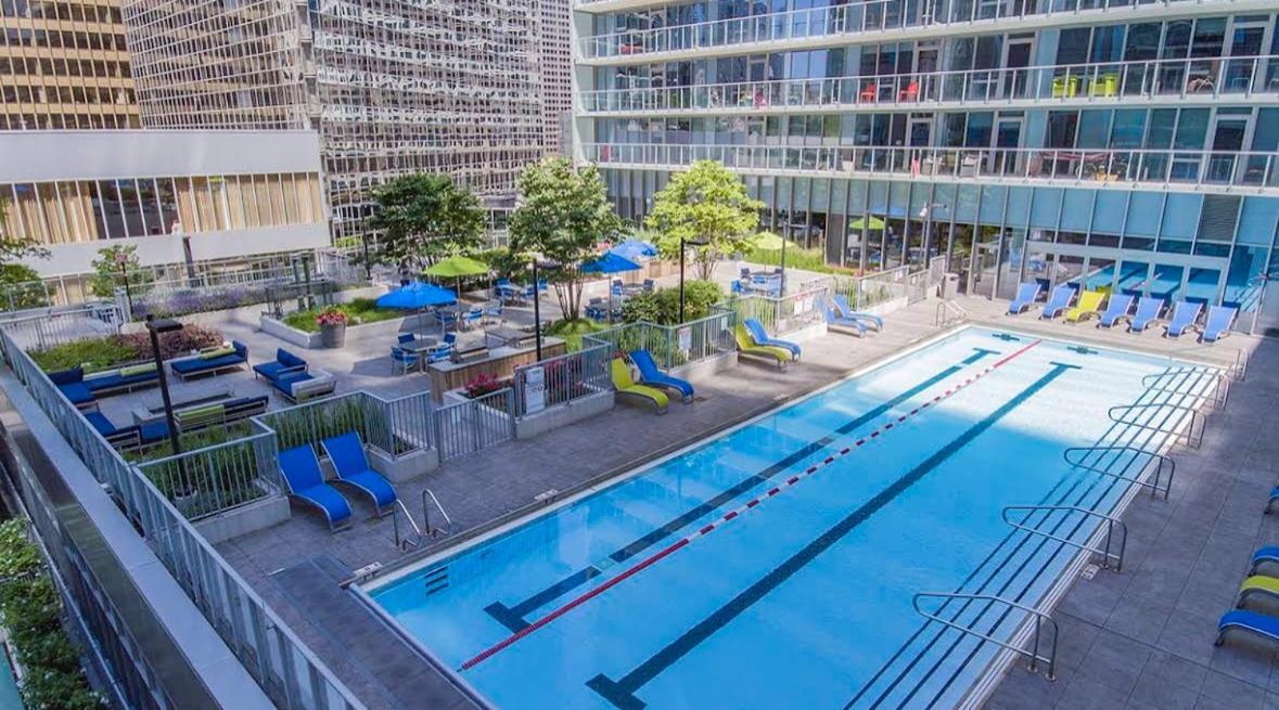 The View In America *