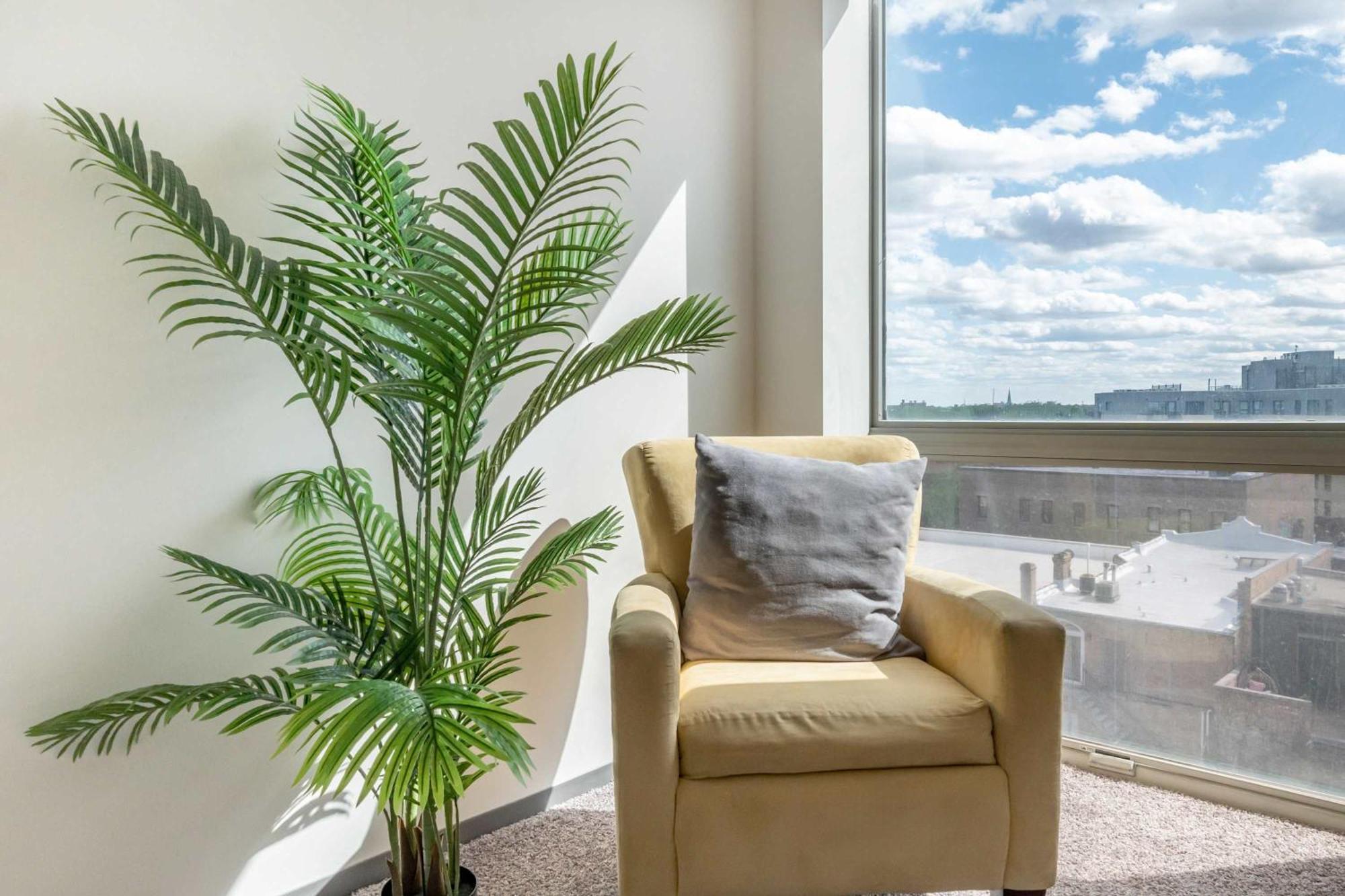 Brand New 2br Escape Chicago