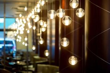 The Midland Hotel, Chicago, A Tribute Portfolio Chicago