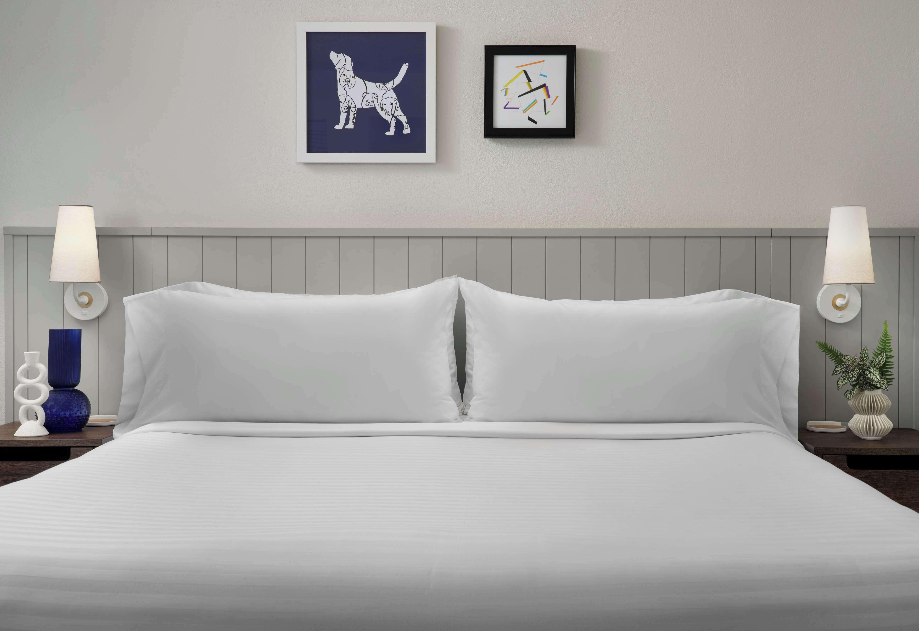 Hotel Sonesta Es Downtown Magnificent Mile Medical Chicago