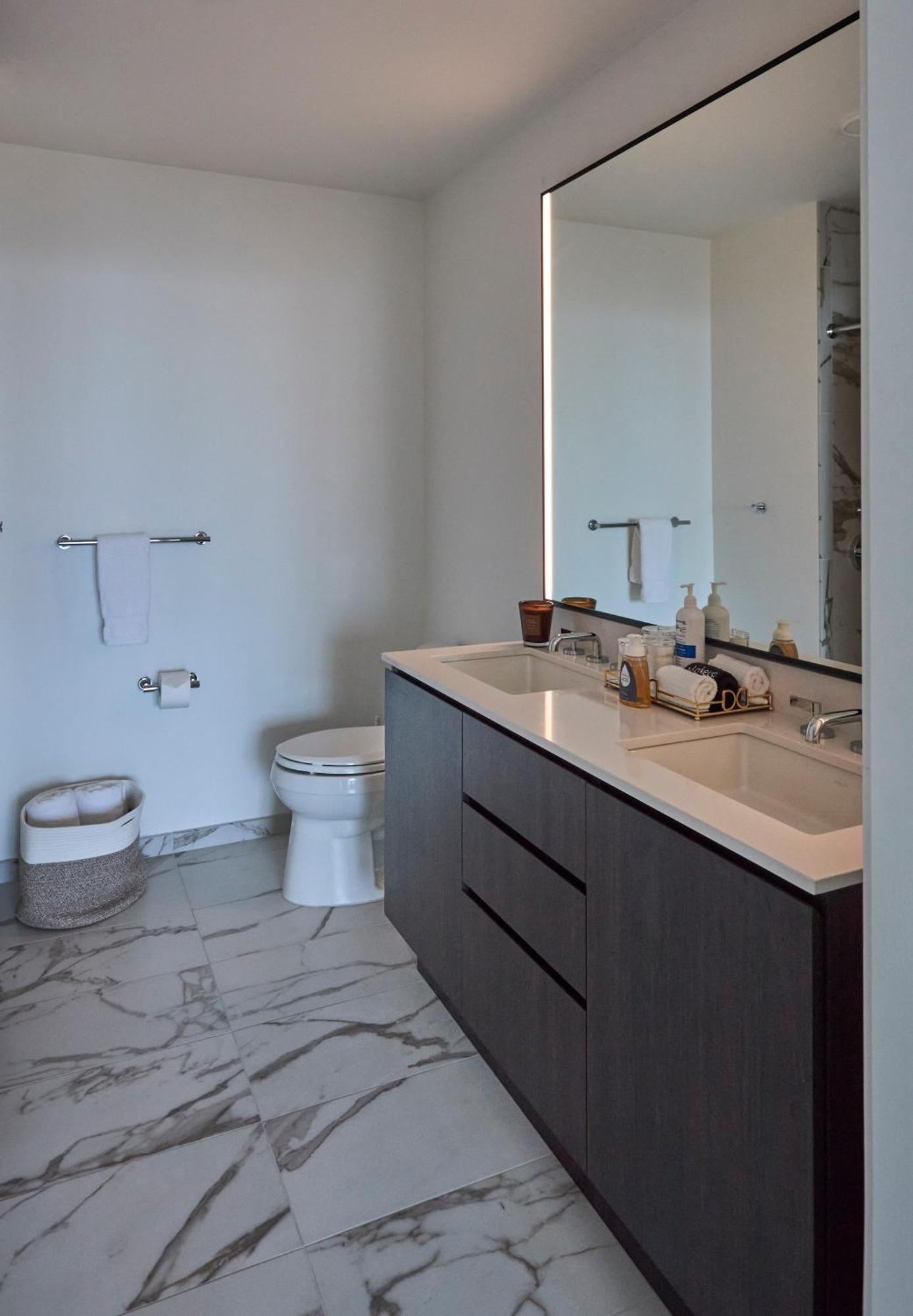 Apartment Lux Apts With Views And Amenities Chicago