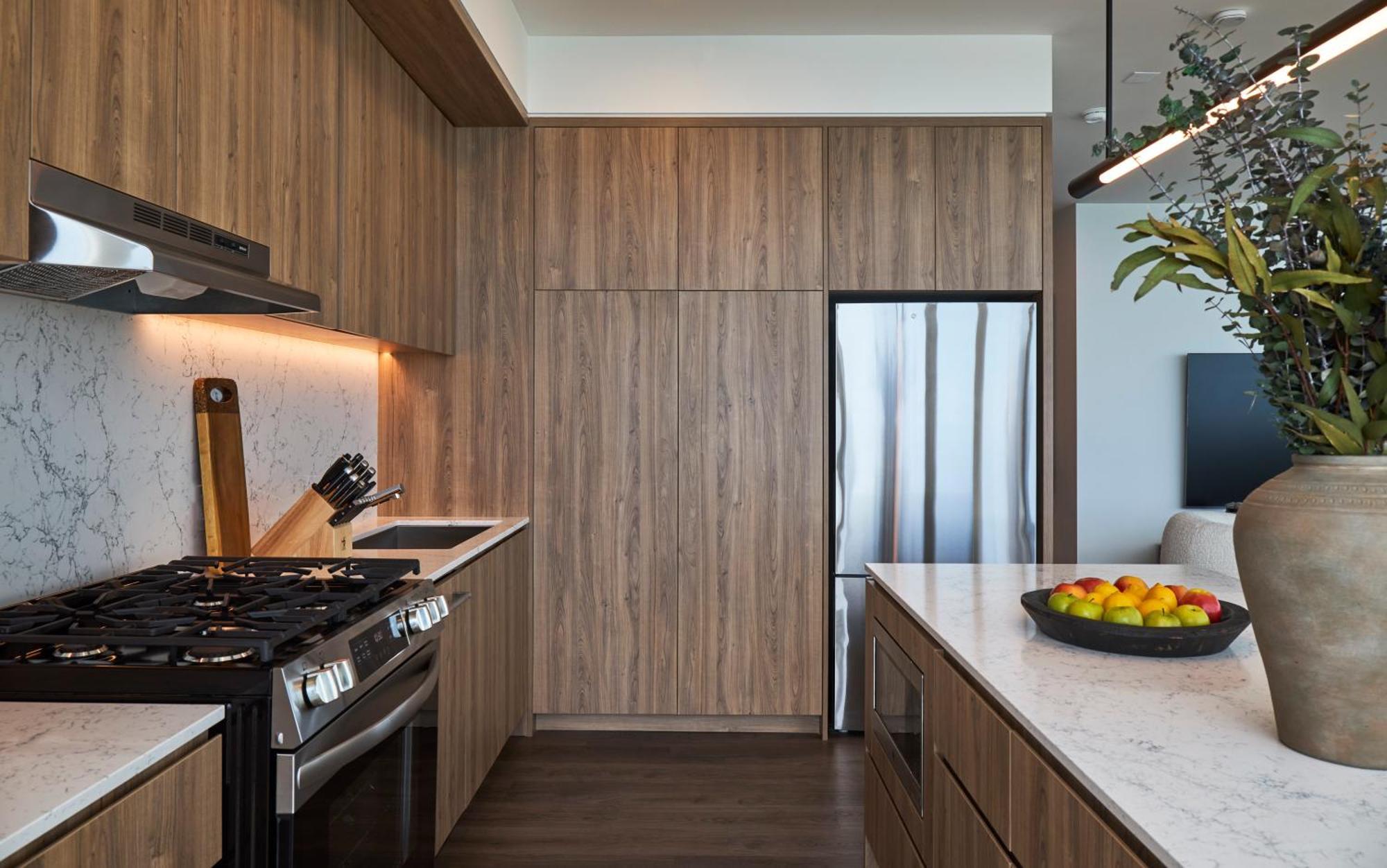 Apartment Lux Apts With Views And Amenities