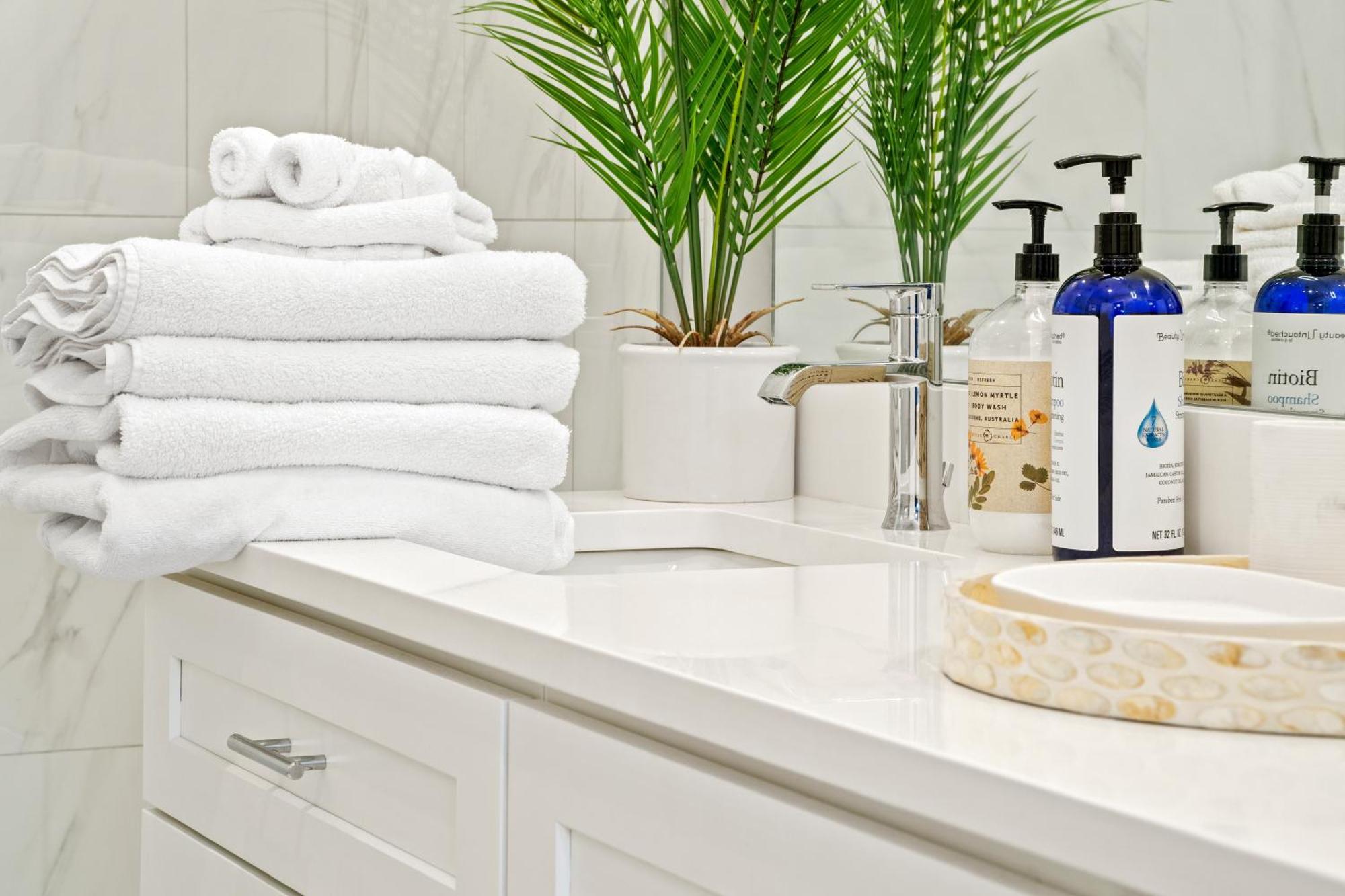 Apartment Season Edifice Chicago