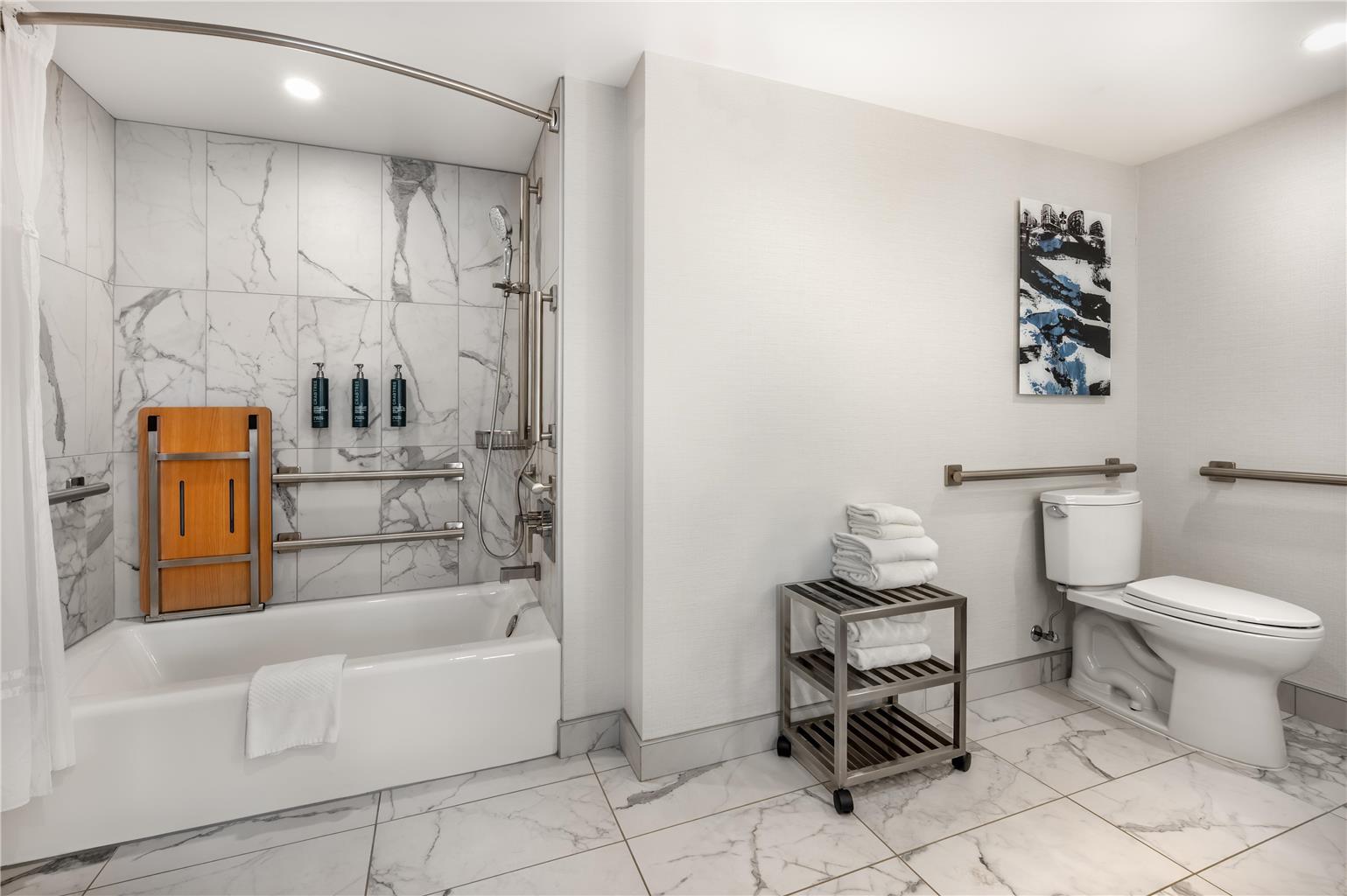 Hotel Hilton Grand Vacations Club Magnificent Mile