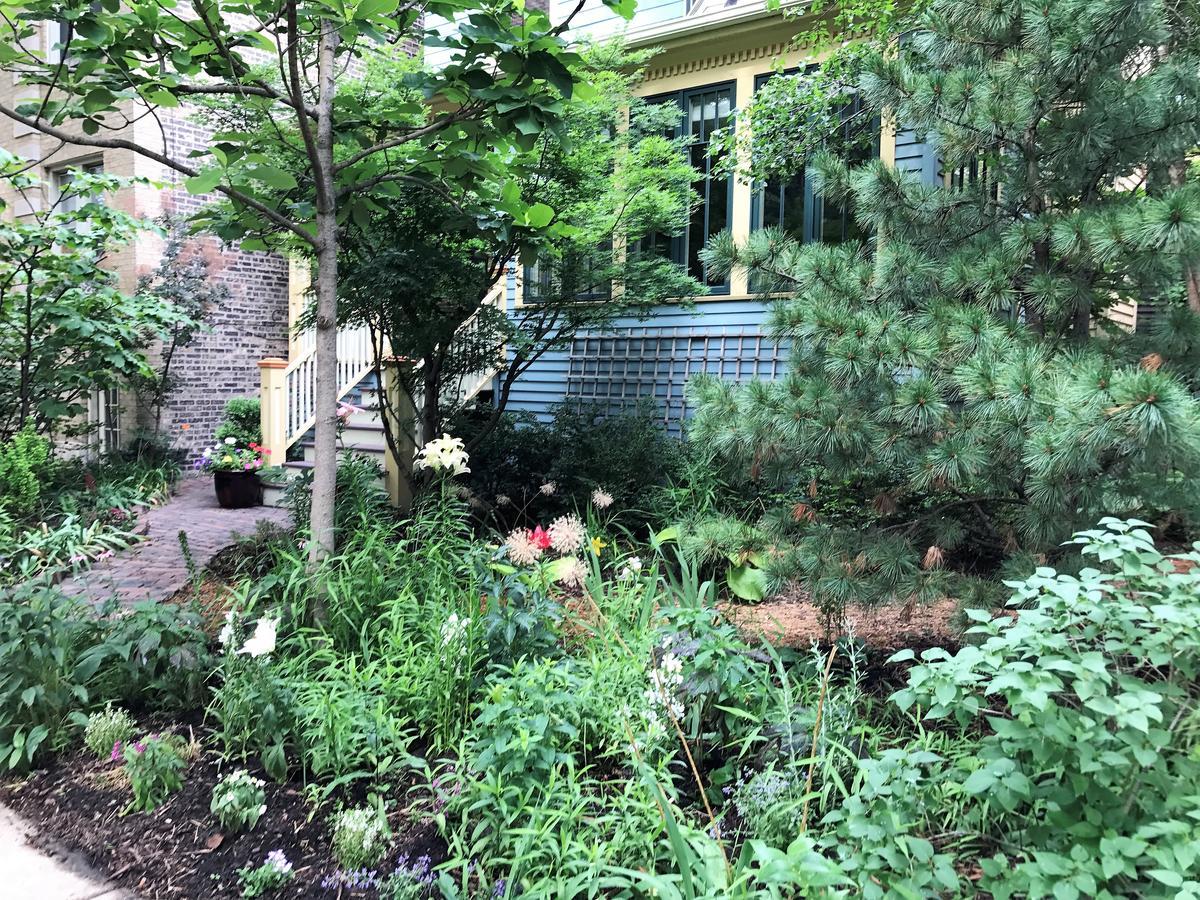 Magnolia Guest house Chicago