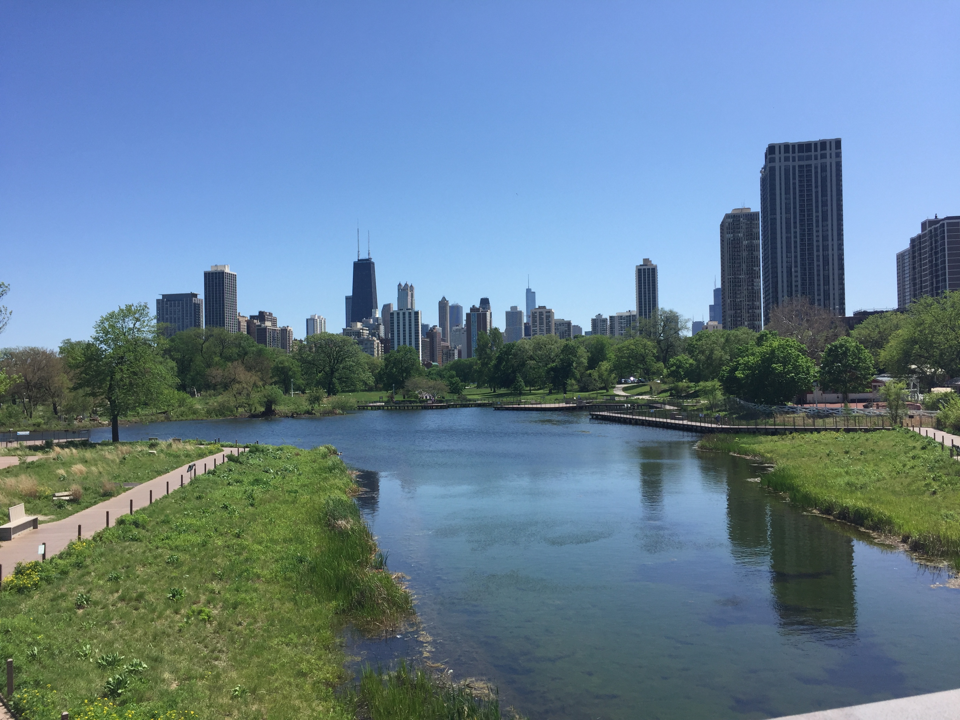 The Best Sports Bars in Lincoln Park, Chicago